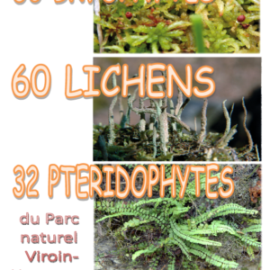 Ouvrage reprenant l’ensemble des fiches réalisées par la Cellule Bryophytes du PCDN de Viroinval entre 2008 et 2013.