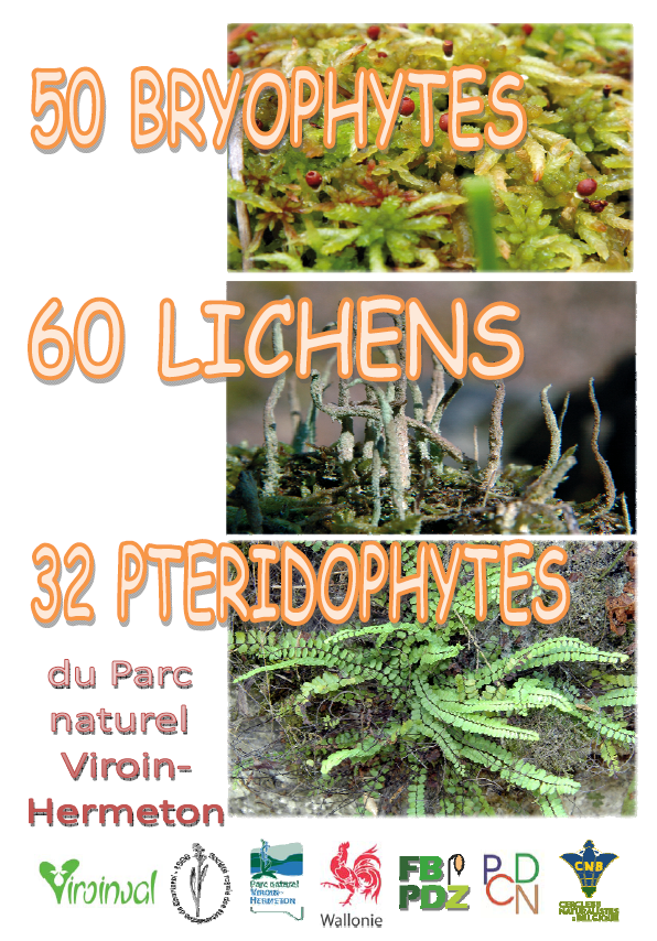 Ouvrage reprenant l’ensemble des fiches réalisées par la Cellule Bryophytes du PCDN de Viroinval entre 2008 et 2013.